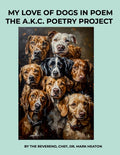 Book Cover Variant Thumbnail