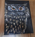 Night Owl