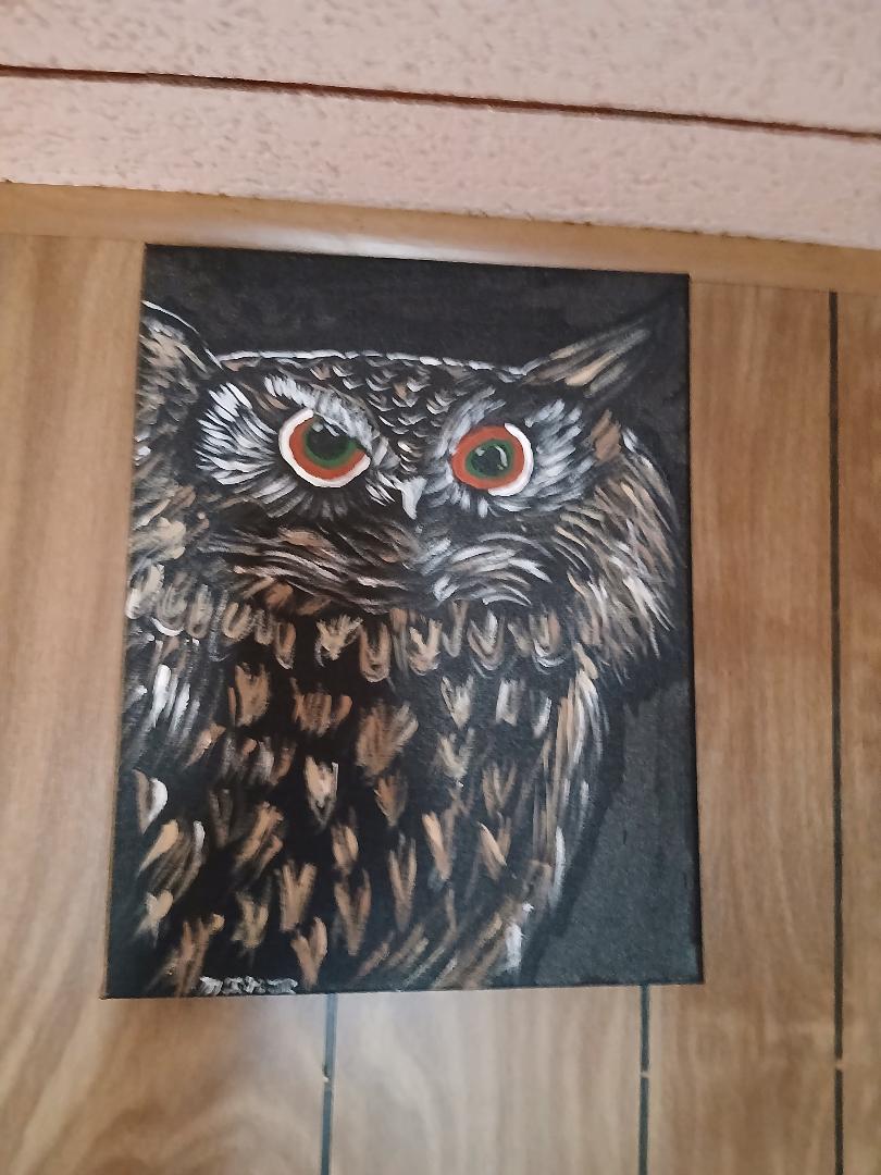 Night Owl