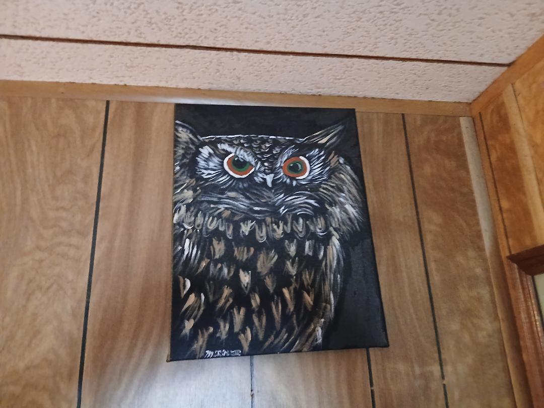 Night Owl