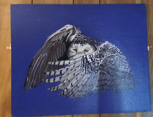 Snow Owl