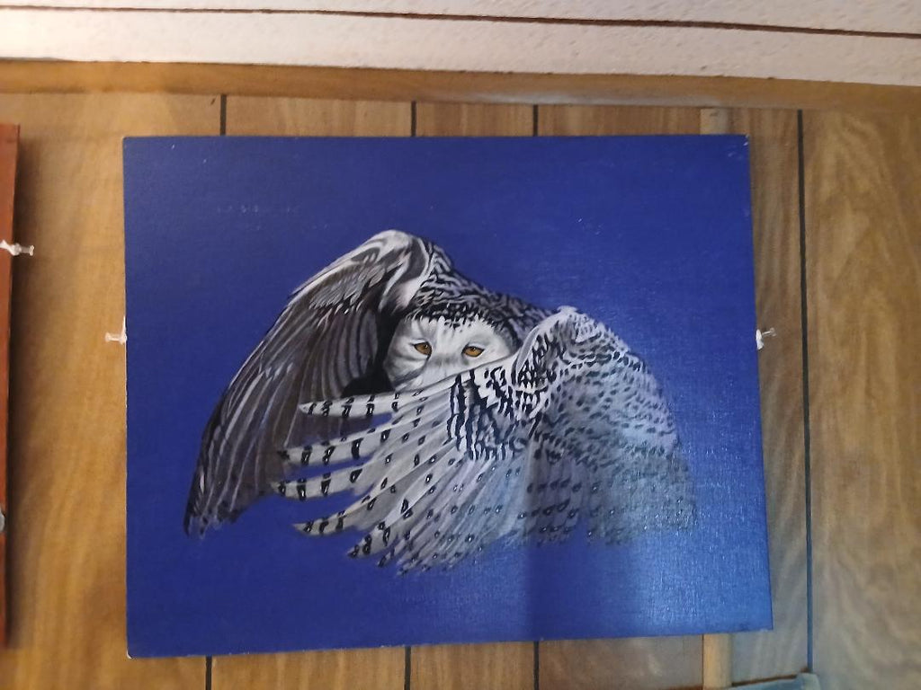 Snow Owl