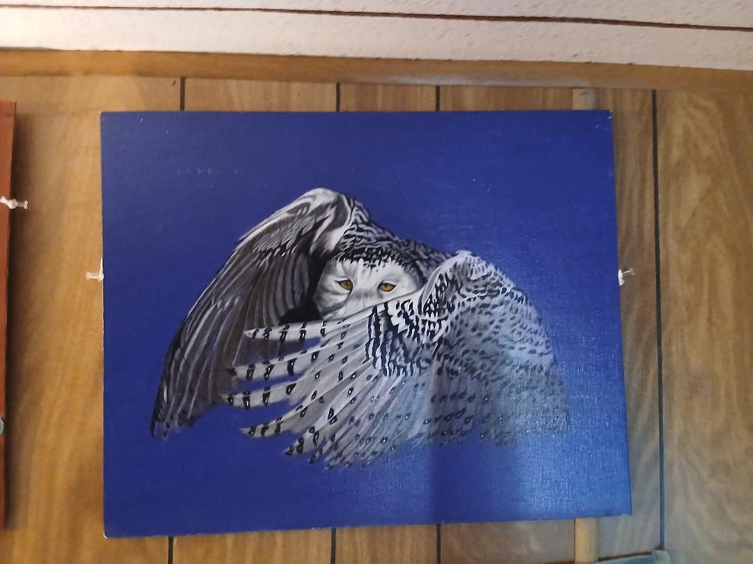 Snow Owl