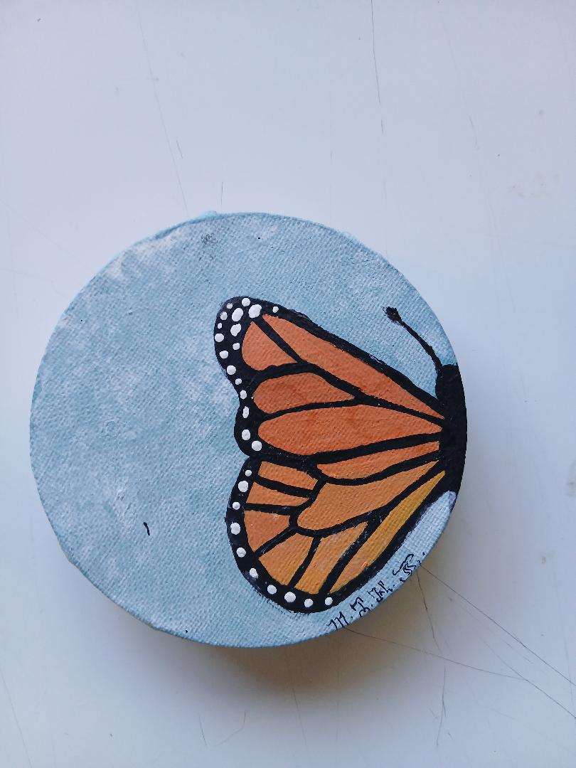 Butterfly for the Mimi